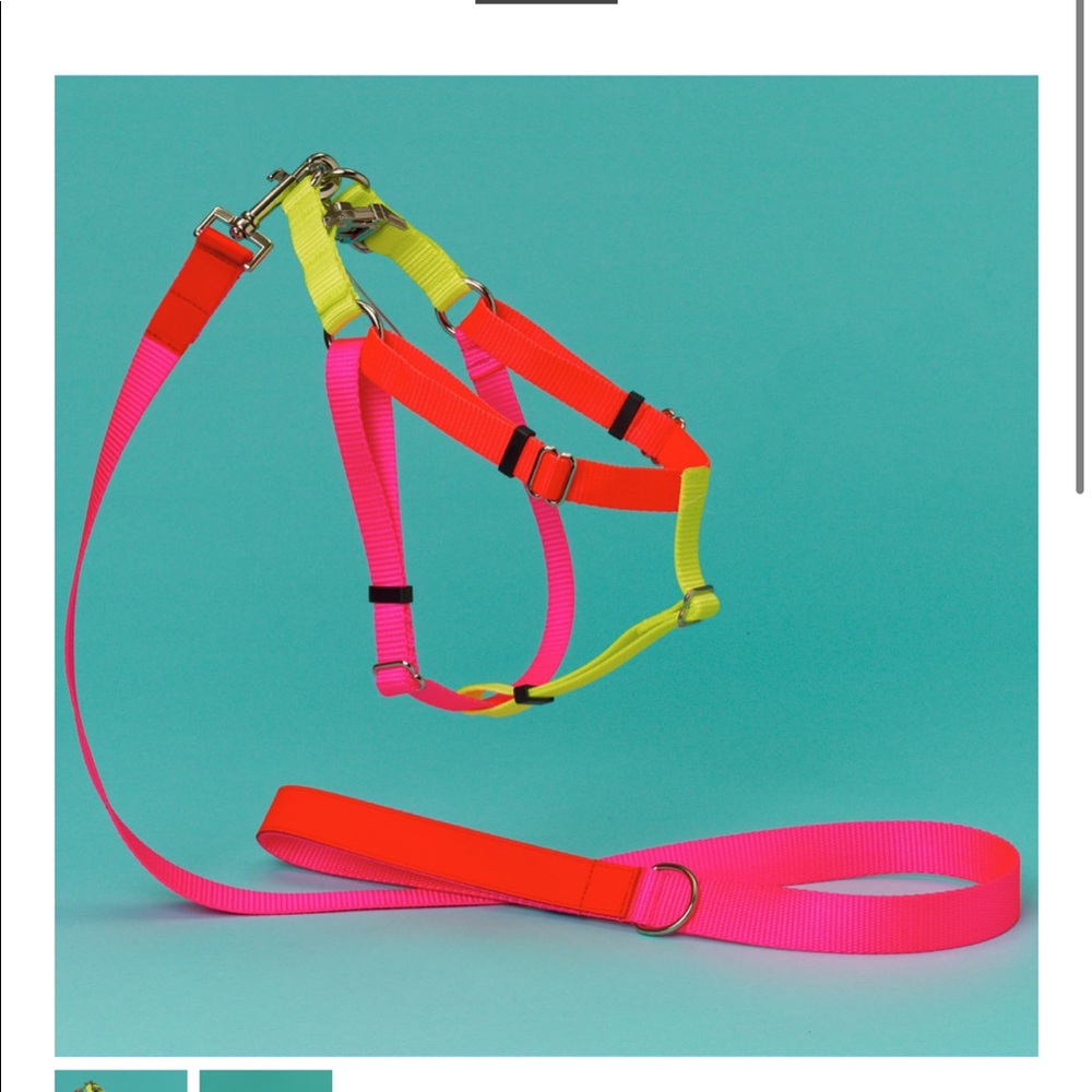 Ware of the dog color block harness - large